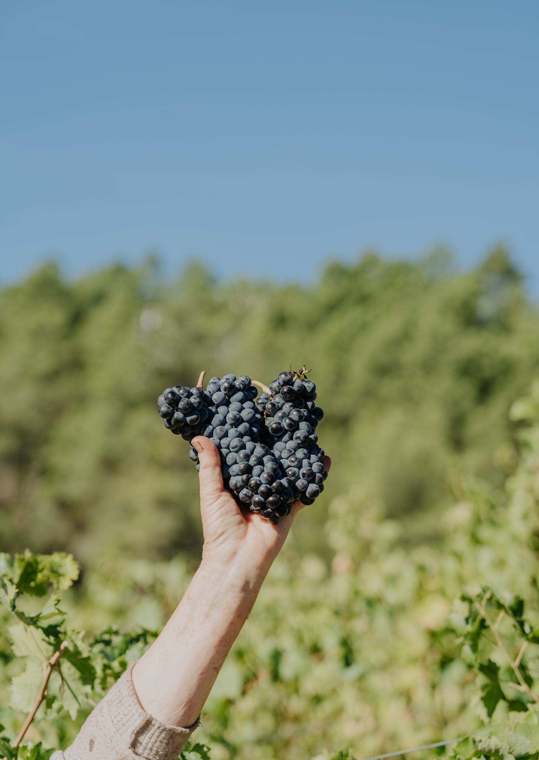 _DSC0472-Aprimorado-NR